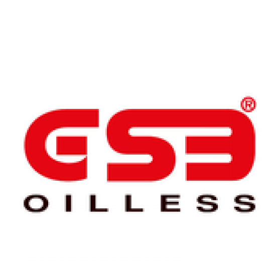 New Homologation Items GSB in PSA 